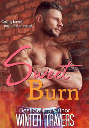Cover of the book Sweet Burn by DS Johnson