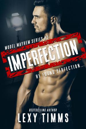 Cover of the book Imperfection by Maggie Marr