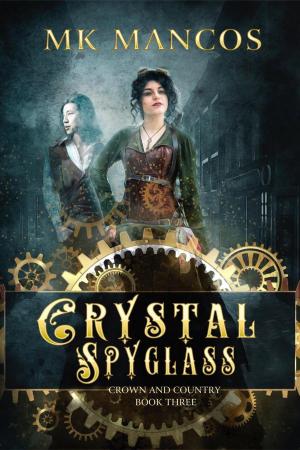 Cover of the book Crystal Spyglass by Michael Tierney