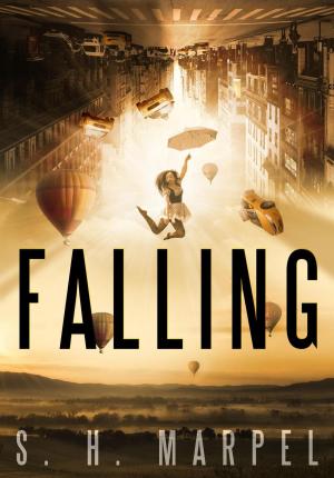 Cover of the book Falling by J. R. Kruze