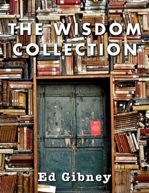 Cover of the book The Wisdom Collection by Jill Vance, Lou Pizzi
