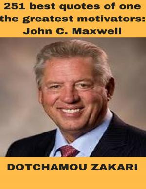 Cover of the book 251 Best Quotes of One the Greatest Motivators: John C Maxwell by Heiki Vilep