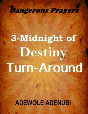 Cover of the book Dangerous Prayers: 3-midnight of Destiny Turn-around by John Gruber Ph.D.