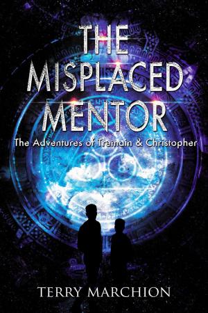 bigCover of the book The Misplaced Mentor by 