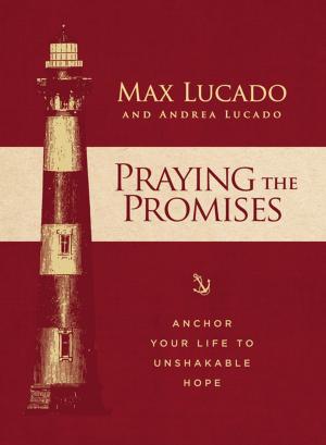Book cover of Praying the Promises