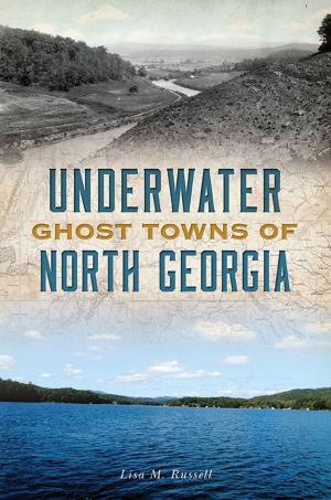 Cover of Underwater Ghost Towns of North Georgia