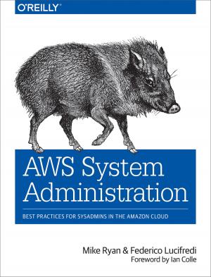 Cover of the book AWS System Administration by Jurg van Vliet, Flavia Paganelli, Jasper Geurtsen