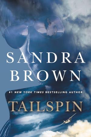 Cover of the book Tailspin by Julie Gilleand