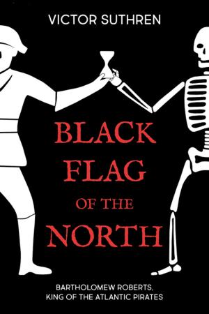 Cover of the book Black Flag of the North by J.C. Villamere