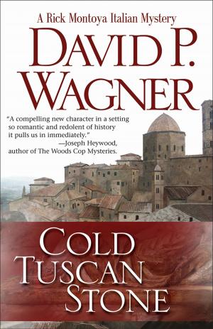 Book cover of Cold Tuscan Stone