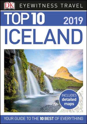 Book cover of Top 10 Iceland