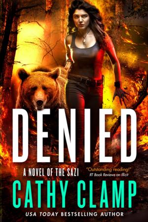 Cover of the book Denied by Steven Brust