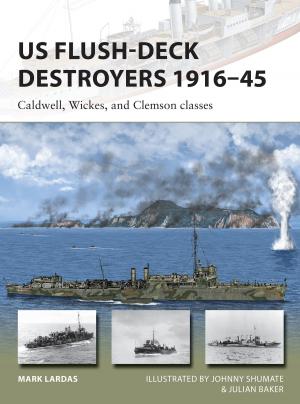 Book cover of US Flush-Deck Destroyers 1916–45