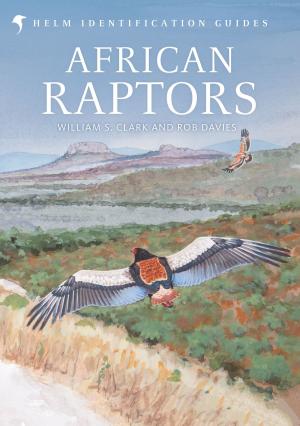 Cover of the book African Raptors by Esteve Calzada