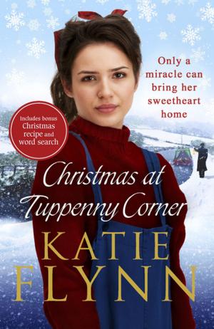 bigCover of the book Christmas at Tuppenny Corner by 