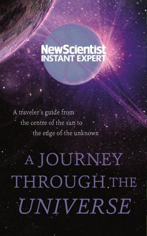 Book cover of A Journey Through The Universe: