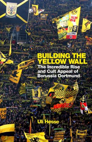 Cover of the book Building the Yellow Wall by Rosie Bray, Richard Mackney
