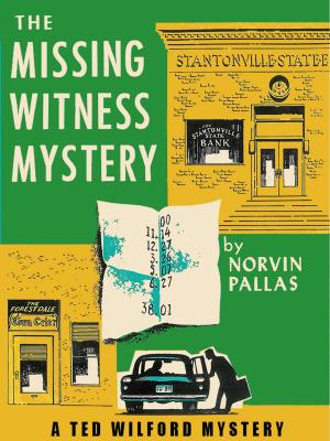 Cover of the book The Missing Witness Mystery by Robert Colby