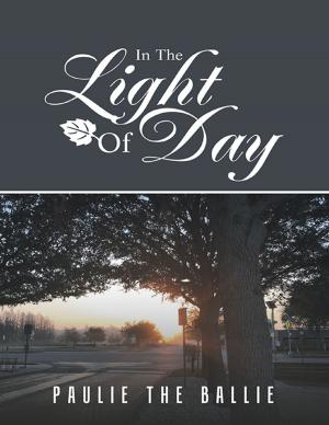 Cover of the book In the Light of Day by Jim James