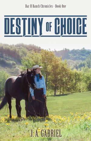 Cover of the book Destiny of Choice by Erin E. M. Hatton