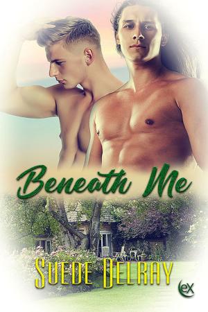 Cover of the book Beneath Me by Anitra Lynn McLeod