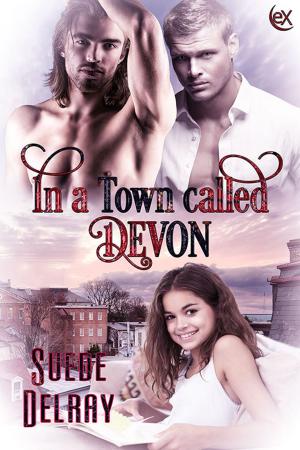 Cover of the book In a Town Called Devon by Derek Adams