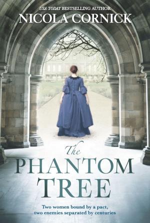 Cover of the book The Phantom Tree by Jamie Raintree