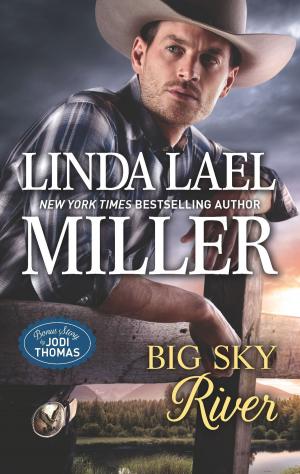 Book cover of Big Sky River