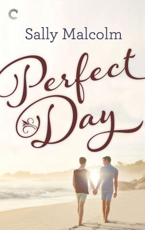 Book cover of Perfect Day