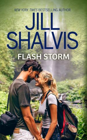 Cover of the book Flash Storm by Diana Palmer