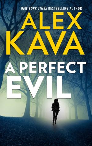 Cover of the book A Perfect Evil by Megan Hart
