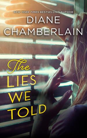 bigCover of the book The Lies We Told by 