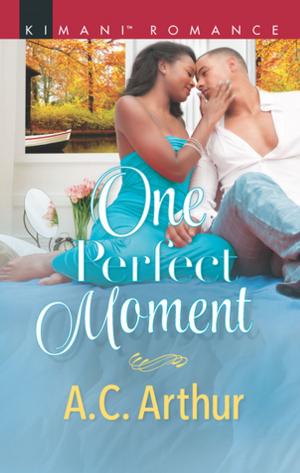 Book cover of One Perfect Moment