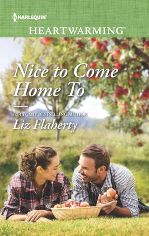 Cover of the book Nice to Come Home To by Jackie Ashenden, JC Harroway, Rebecca Hunter, Cara Lockwood