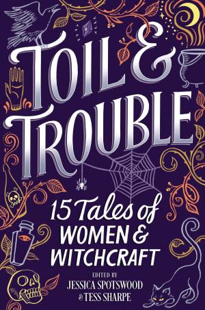 Cover of the book Toil & Trouble by Marguerite Kaye