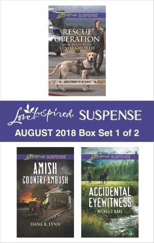 Cover of the book Harlequin Love Inspired Suspense August 2018 - Box Set 1 of 2 by Margaret Moore, Paul Hammerness