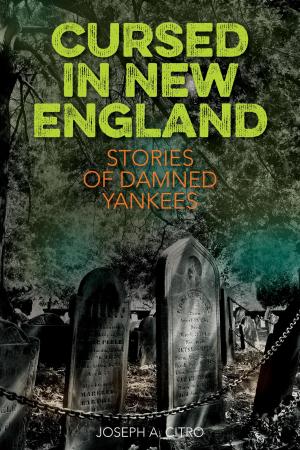 Cover of the book Cursed in New England by Deborah Clifford