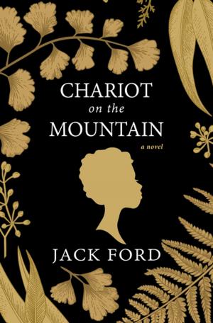 Cover of the book Chariot on the Mountain by Laura Levine
