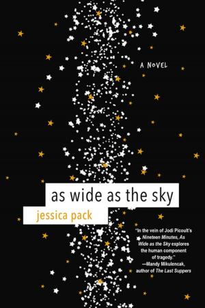 Cover of the book As Wide as the Sky by Jillian Stone