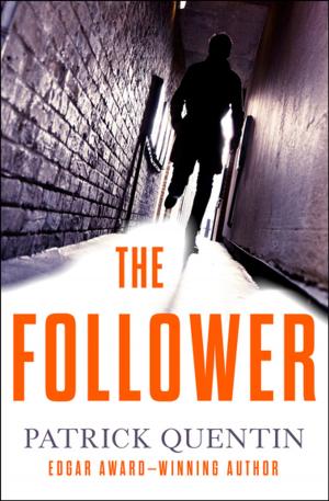 Cover of the book The Follower by Abigail Hornsea