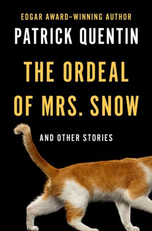Book cover of The Ordeal of Mrs. Snow