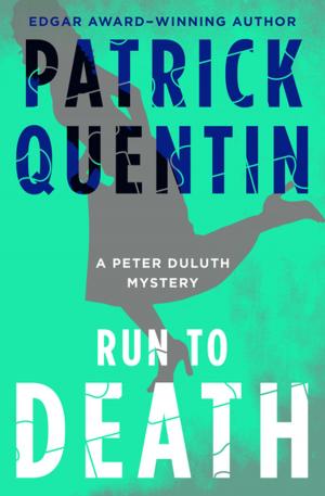 Cover of the book Run to Death by christopher david petersen