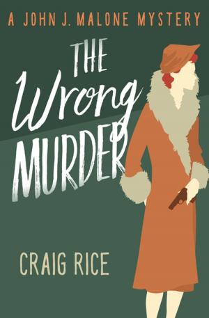 Book cover of The Wrong Murder
