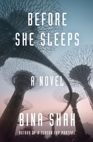 Cover of the book Before She Sleeps by Joseph Caldwell