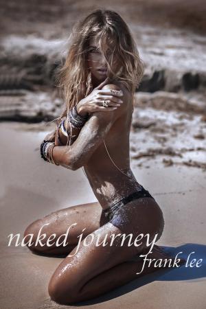 Cover of the book Naked Journey by Alessia Brio, Editor
