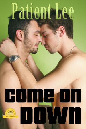 Cover of the book Come on Down by Lilith Lo