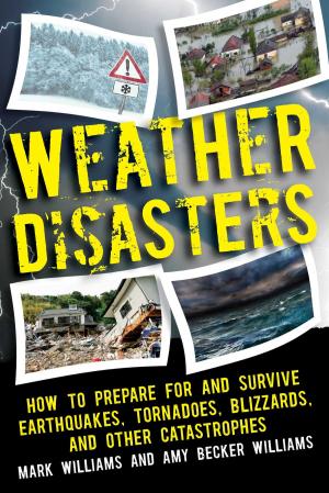 Cover of the book Weather Disasters by Michelle Savage