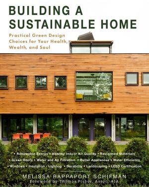 Cover of the book Building a Sustainable Home by Ilana Garon