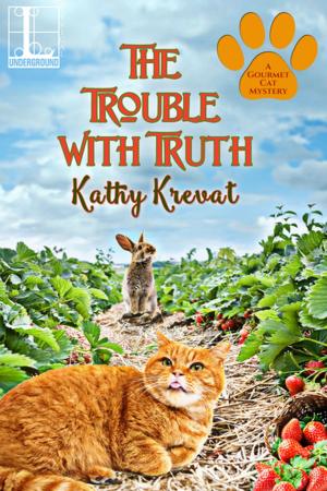Cover of the book The Trouble with Truth by Heather Heyford