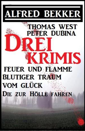 Book cover of Bekker/West/Dubina - Drei Krimis: Feuer und Flamme/Blutiger Traum vom Glück/Die zur Hölle fahren